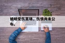 九游在线使用网址-姚明受伤离场，伤情尚未公布。