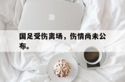 九游在线使用网址-国足受伤离场，伤情尚未公布。