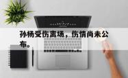 九游在线使用网址-孙杨受伤离场，伤情尚未公布。