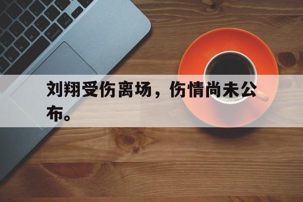 刘翔受伤离场，伤情尚未公布。