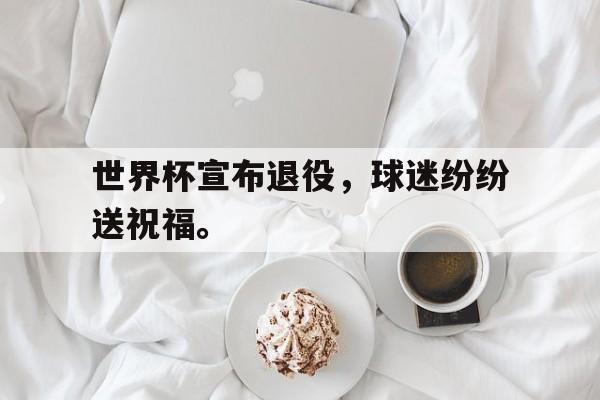 世界杯宣布退役，球迷纷纷送祝福。