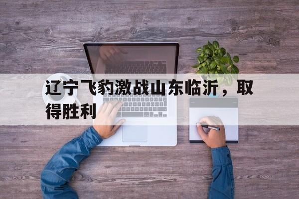 九游在线平台官网-辽宁飞豹激战山东临沂，取得胜利